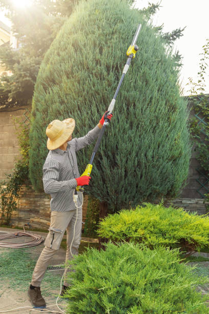 Best Leaf Removal  in Mayo, FL